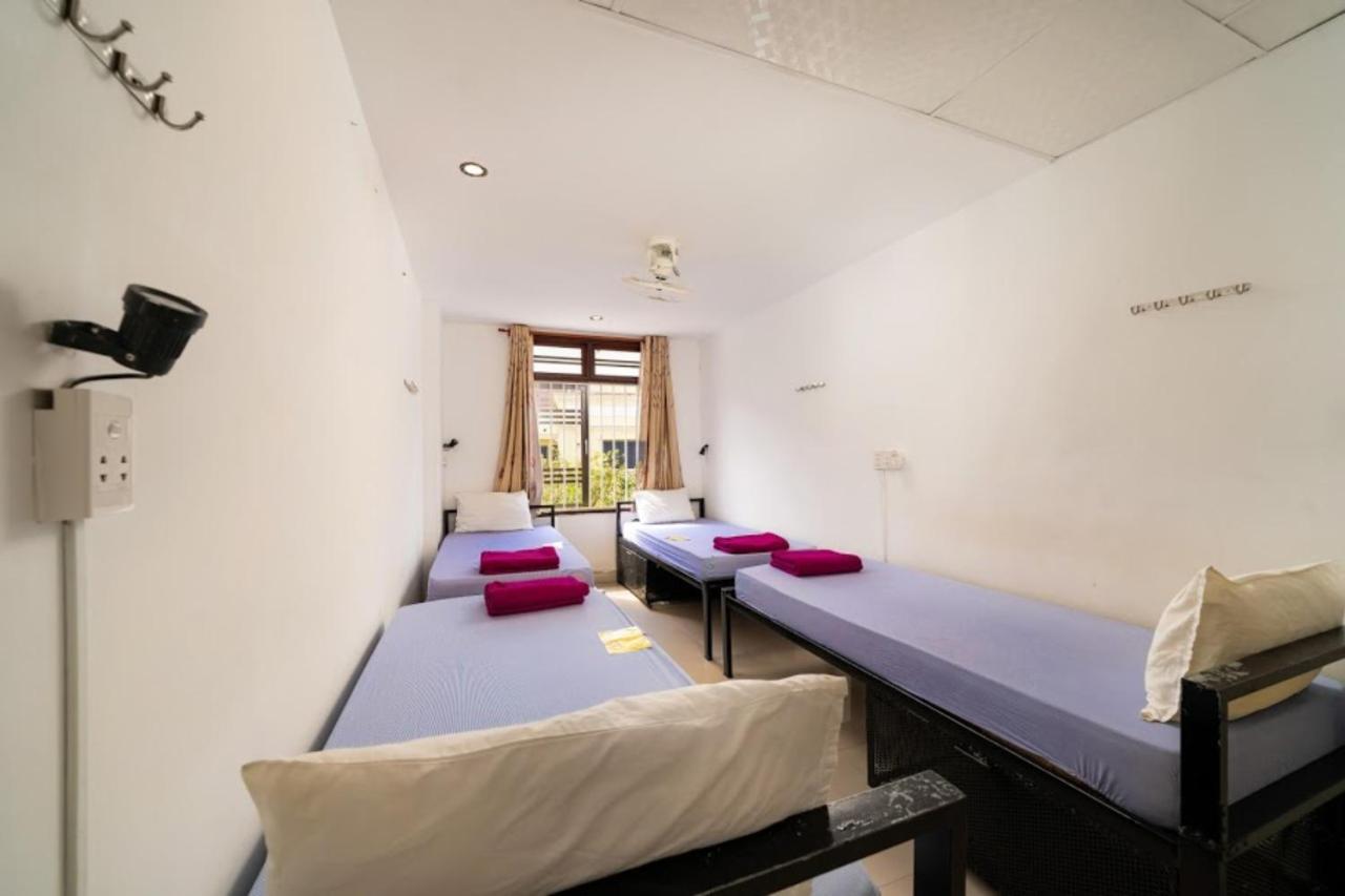 Tribee Kinh Hostel & Bar 호이안 외부 사진